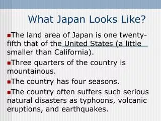 What Japan Looks Like?