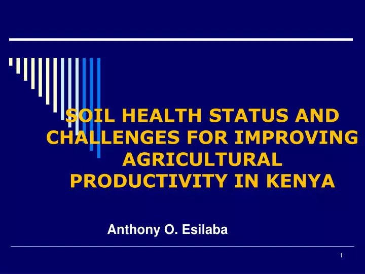 soil health status and challenges for improving agricultural productivity in kenya