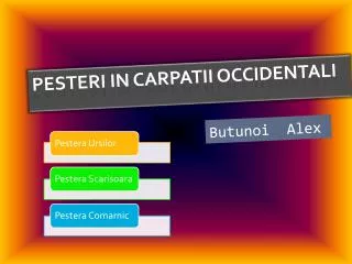 butunoi alex