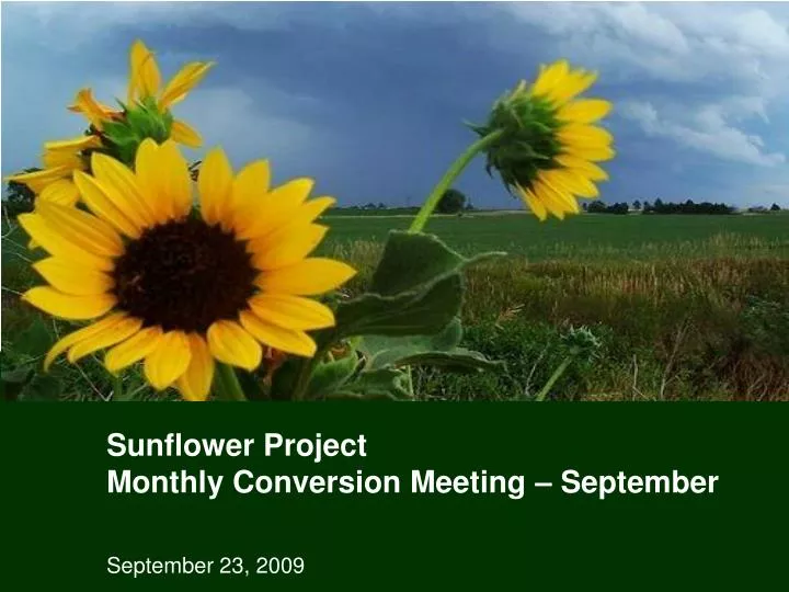 sunflower project monthly conversion meeting september