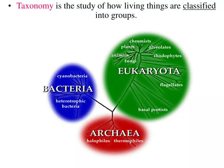 section 17 1 summary pages 443 449