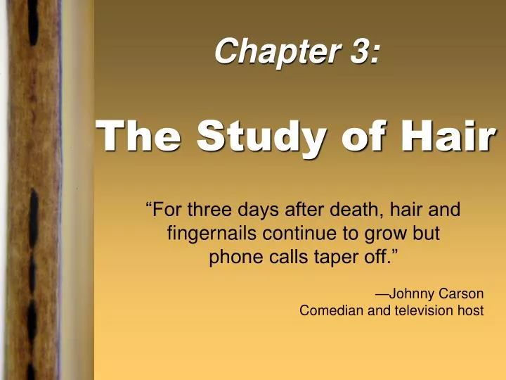 chapter 3 the study of hair