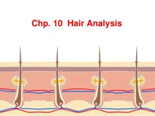 Chp. 10 Hair Analysis