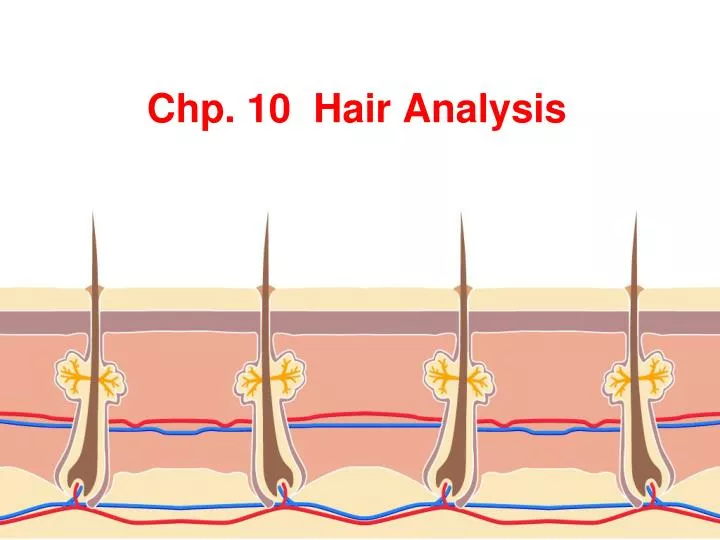 chp 10 hair analysis