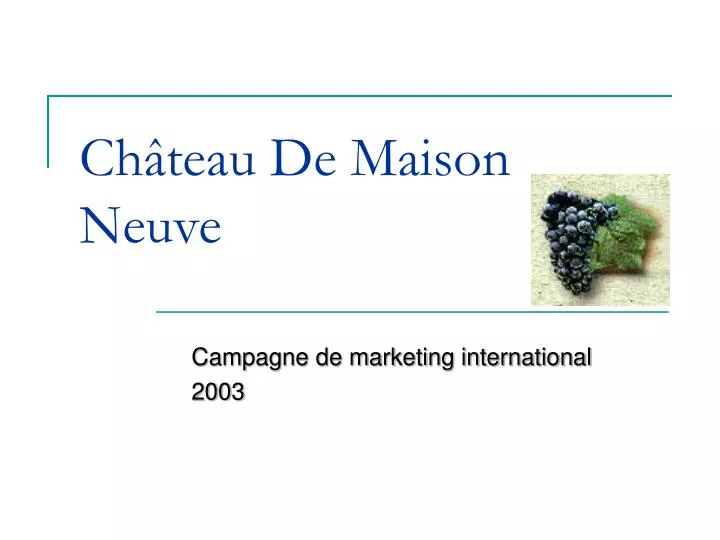 ch teau de maison neuve