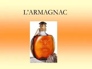 l armagnac