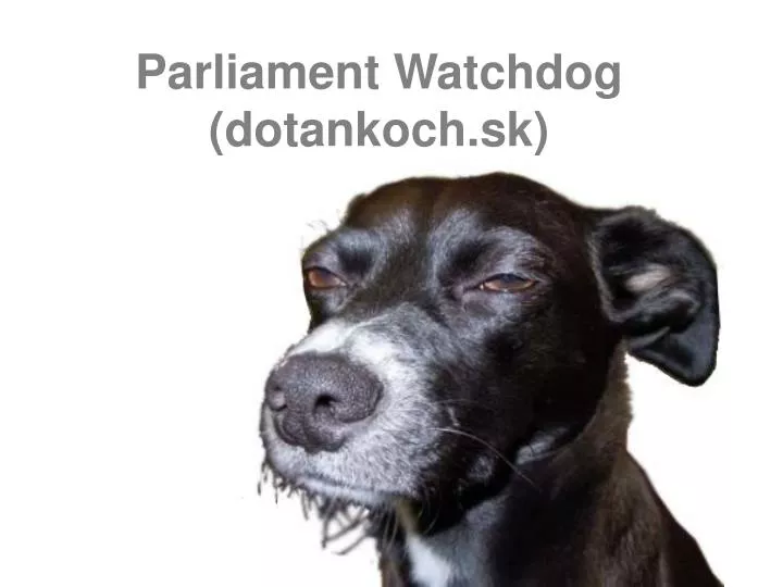 parliament watchdog dotankoch sk