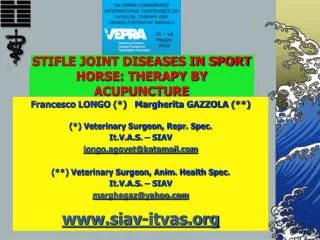 STIFLE JOINT DISEASES IN SPORT HORSE: THERAPY BY ACUPUNCTURE