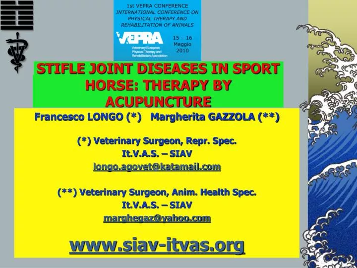 stifle joint diseases in sport horse therapy by acupuncture