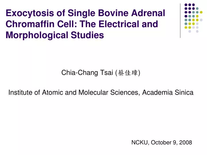 exocytosis of single bovine adrenal chromaffin cell the electrical and morphological studies