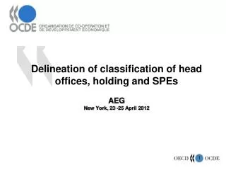 Delineation of classification of head offices, holding and SPEs AEG New York, 23 -25 April 2012