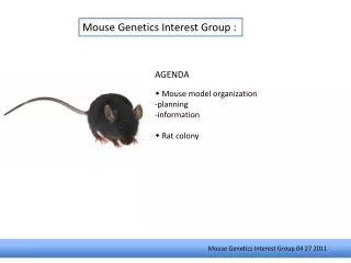 Mouse Genetics Interest Group :