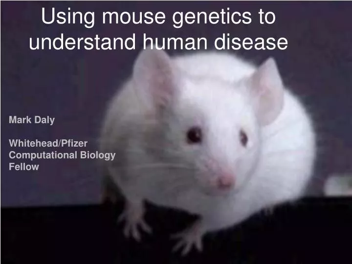 using mouse genetics to understand human disease