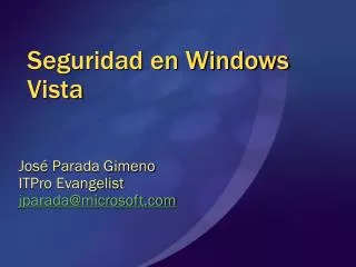 seguridad en windows vista