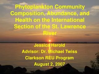 Jessica Harold Advisor: Dr. Michael Twiss Clarkson REU Program August 2, 2007