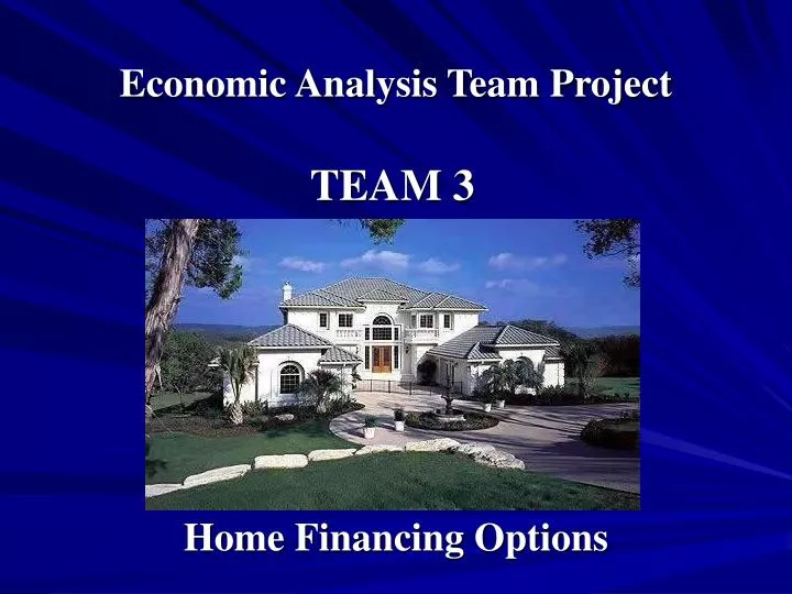 economic analysis team project