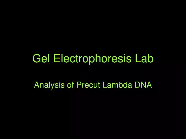 gel electrophoresis lab
