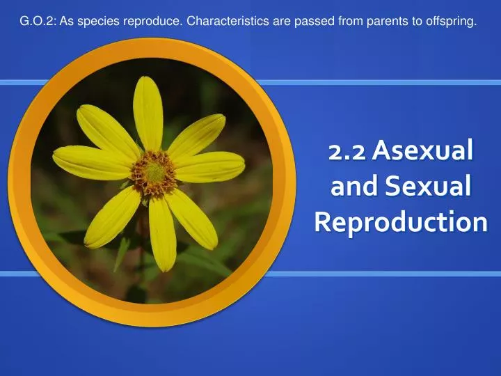 2 2 asexual and sexual reproduction