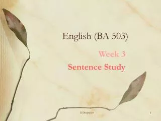 English (BA 503)