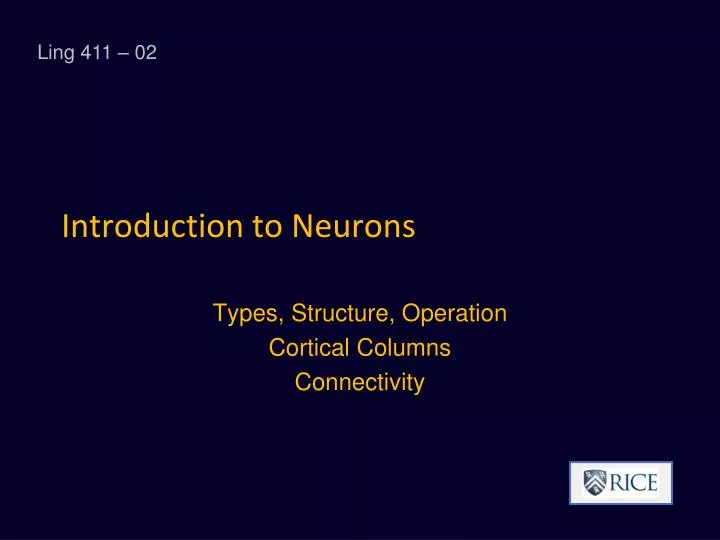 introduction to neurons