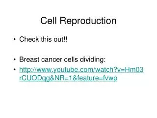cell reproduction