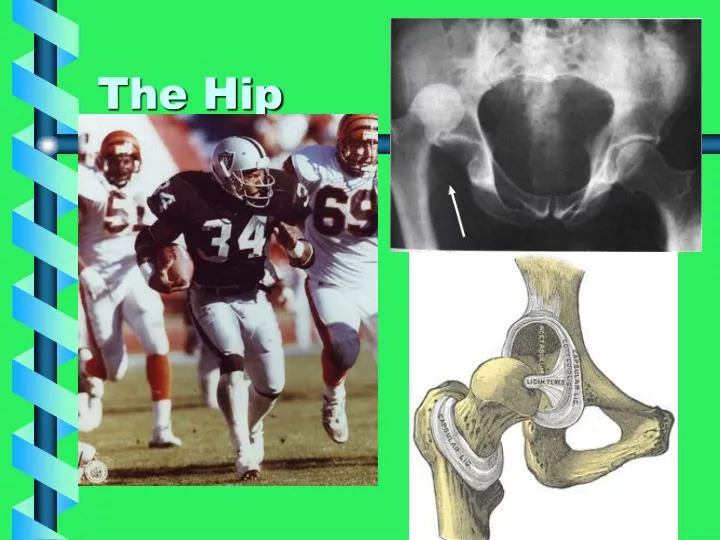 the hip