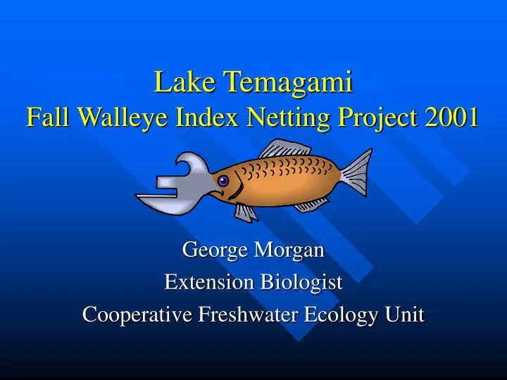 lake temagami fall walleye index netting project 2001