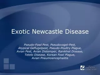 Exotic Newcastle Disease