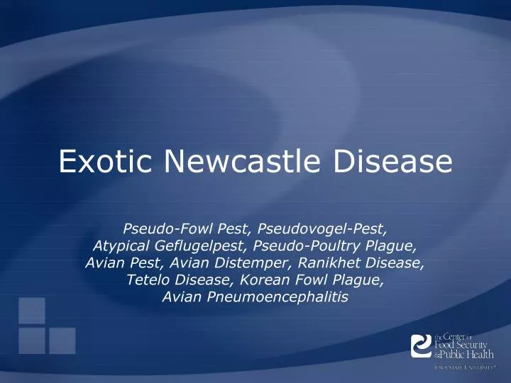 exotic newcastle disease