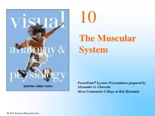 10 The Muscular System