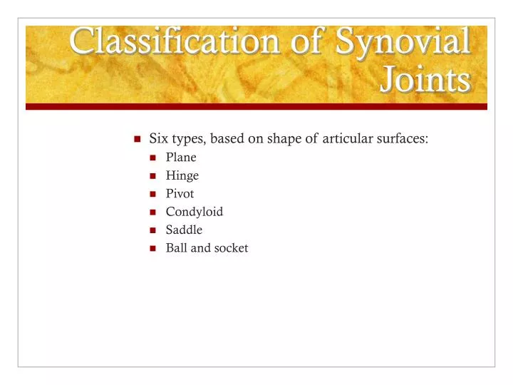 classification of synovial joints