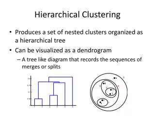 Hierarchical Clustering