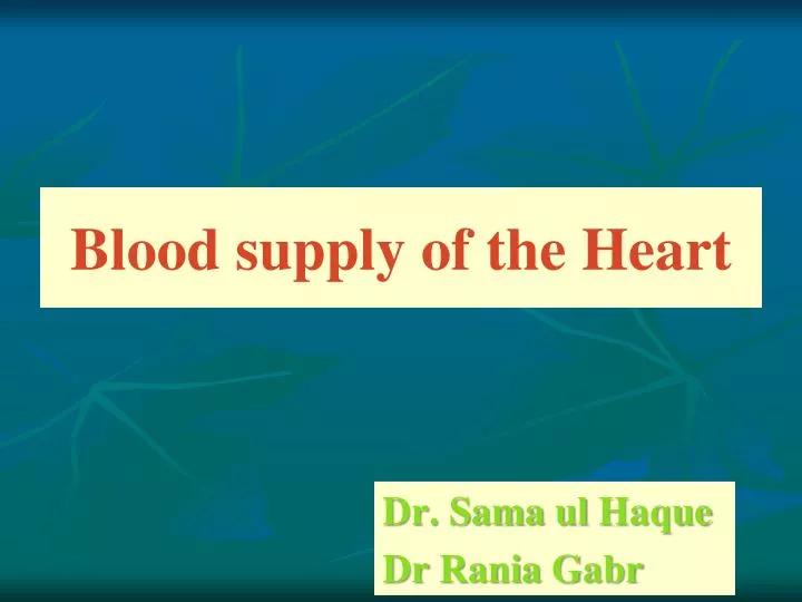 blood supply of the heart