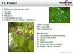 T2. Planten - slide 1