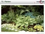 T2. Planten - slide 1