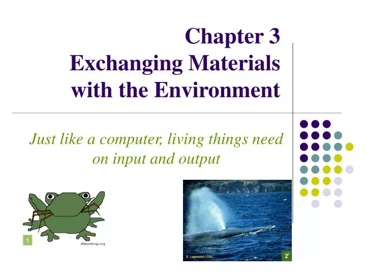chapter 3 exchanging materials with the environment