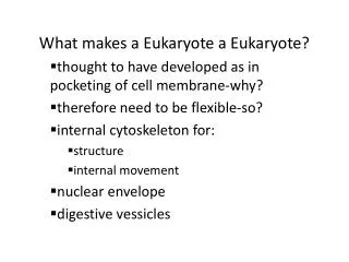 What makes a Eukaryote a Eukaryote?