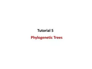 Phylogenetic Trees