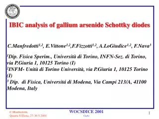 IBIC analysis of gallium arsenide Schottky diodes