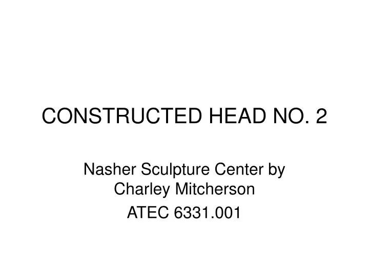 constructed head no 2