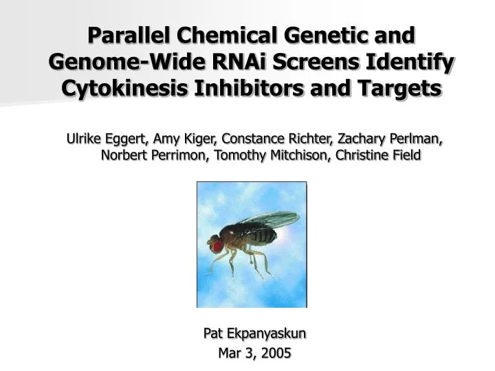 parallel chemical genetic and genome wide rnai screens identify cytokinesis inhibitors and targets