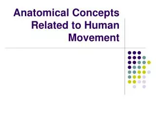 Anatomical Concepts Related to Human Movement