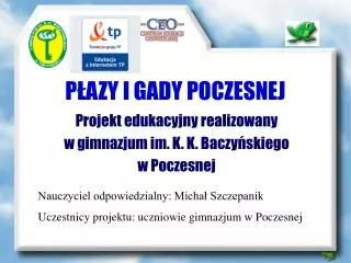 p azy i gady poczesnej