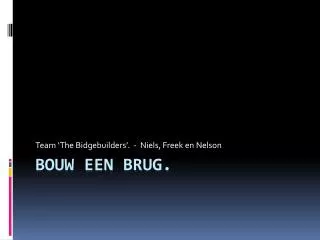 team the bidgebuilders niels freek en nelson