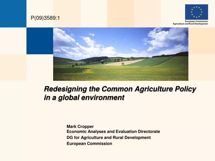 redesigning the common agriculture policy in a global environment