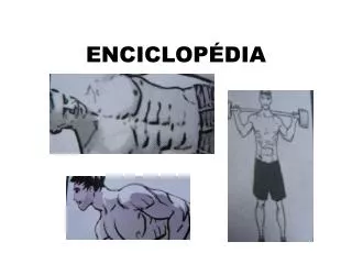 enciclo p dia