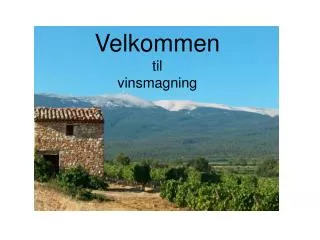 Velkommen til vinsmagning