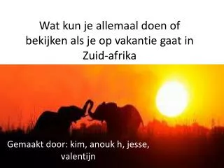 Wat kun je allemaal doen of bekijken als je op vakantie gaat in Z uid-afrika