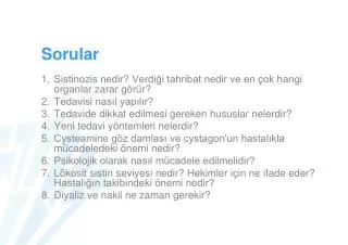 sorular