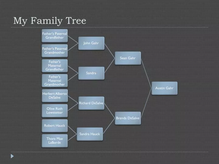 my family tree